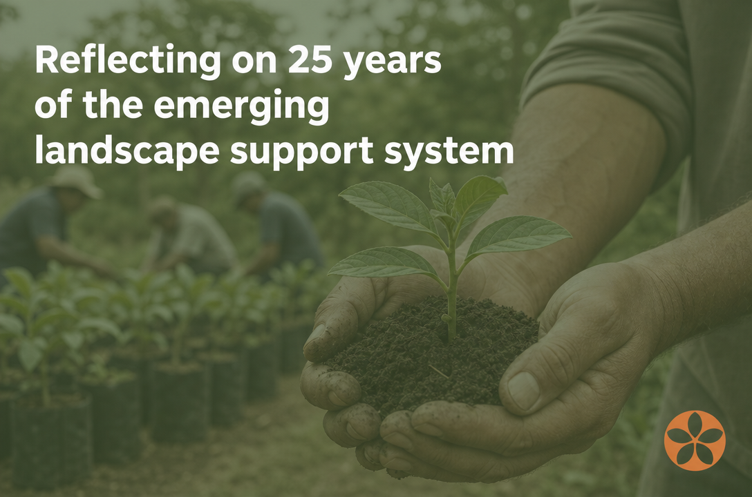 Reflecting on 25 years of the emerging landscape support system