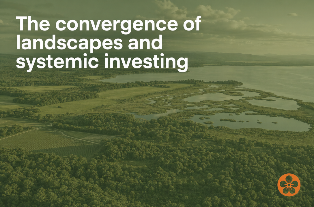 The convergence of landscapes and systemic investing